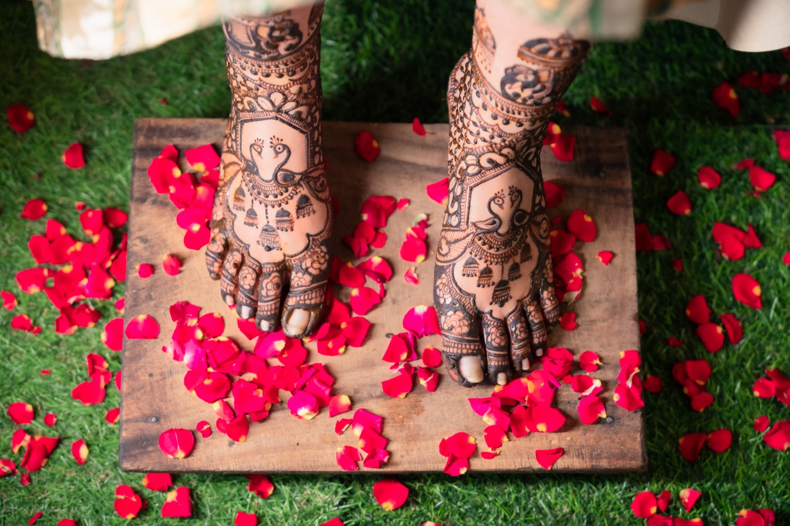 Bridal feet adorned with intricate peacock mehendi among rose petals