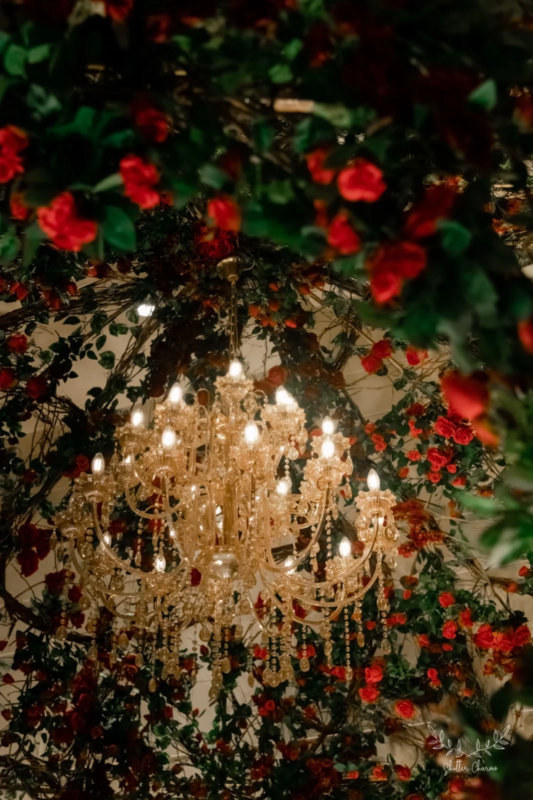 Golden chandelier glowing amid cascading red rose wedding decor