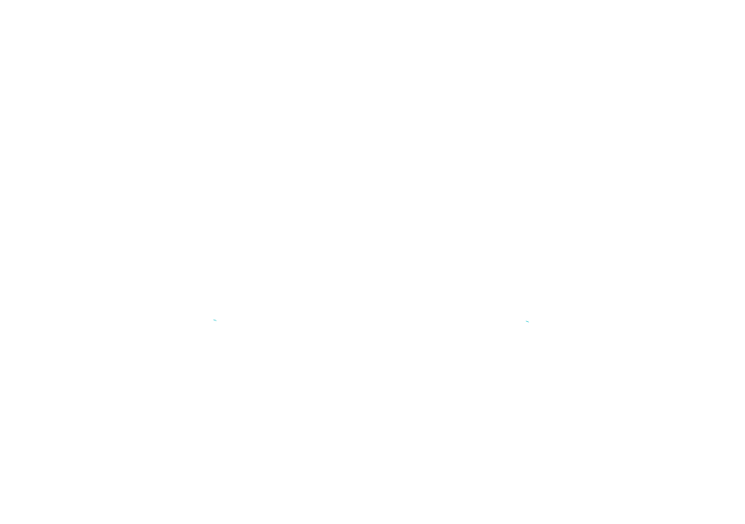 Shutter Charms
